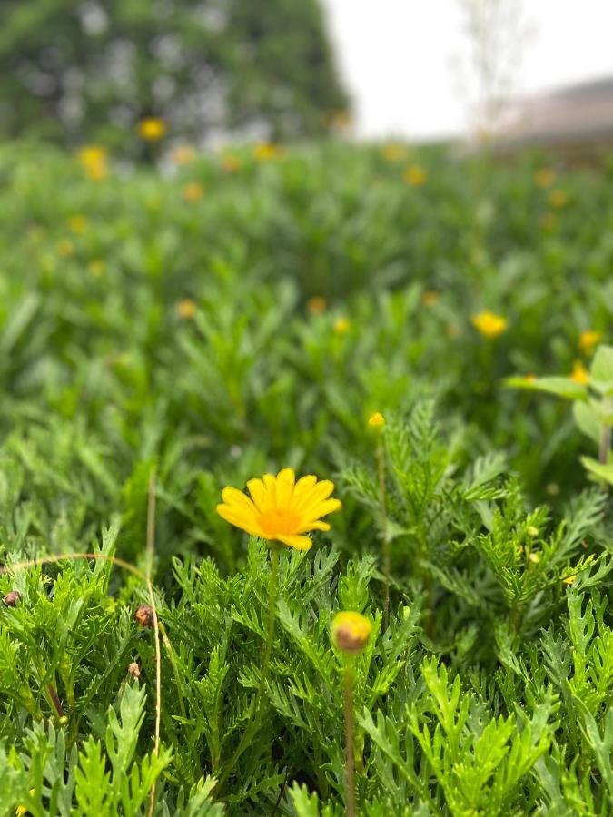 Da Lat Sunshine Garden Hotell Eksteriør bilde